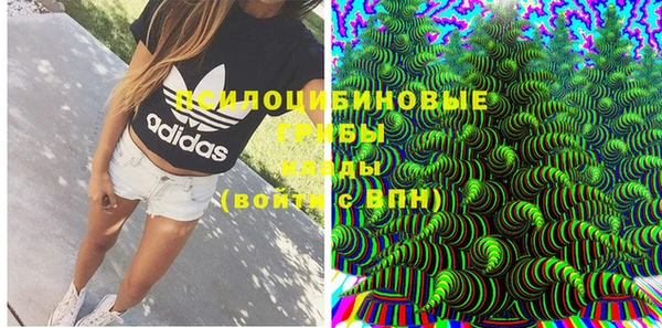 хмурый Щёлкино