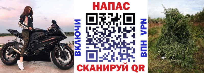 Купить закладки  Камешково  Шишки марихуана семена 